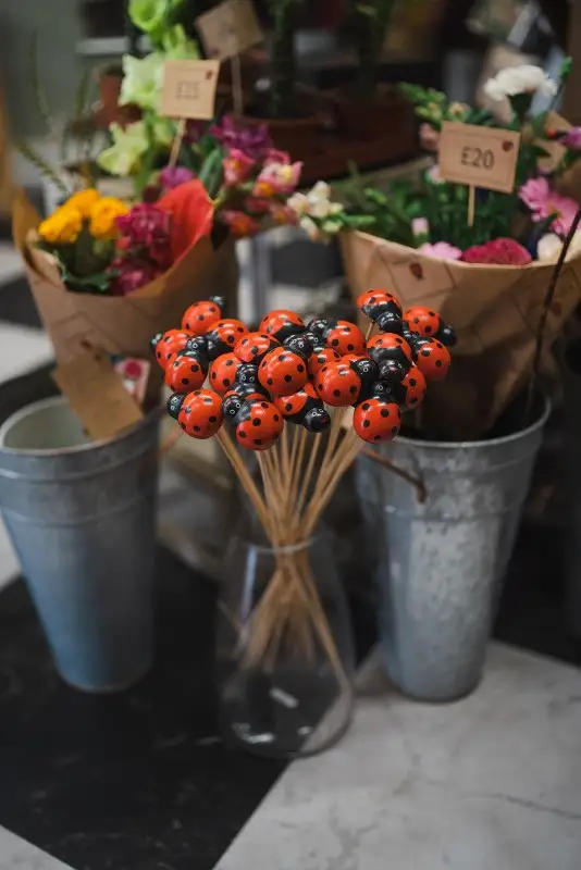 Ladybirds on Sticks booker Flowers and Gifts Liverpool